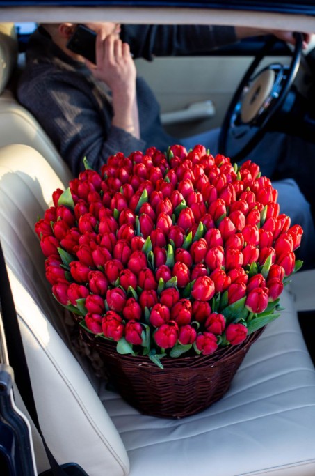 Kosz 150 czerwonych tulipanów